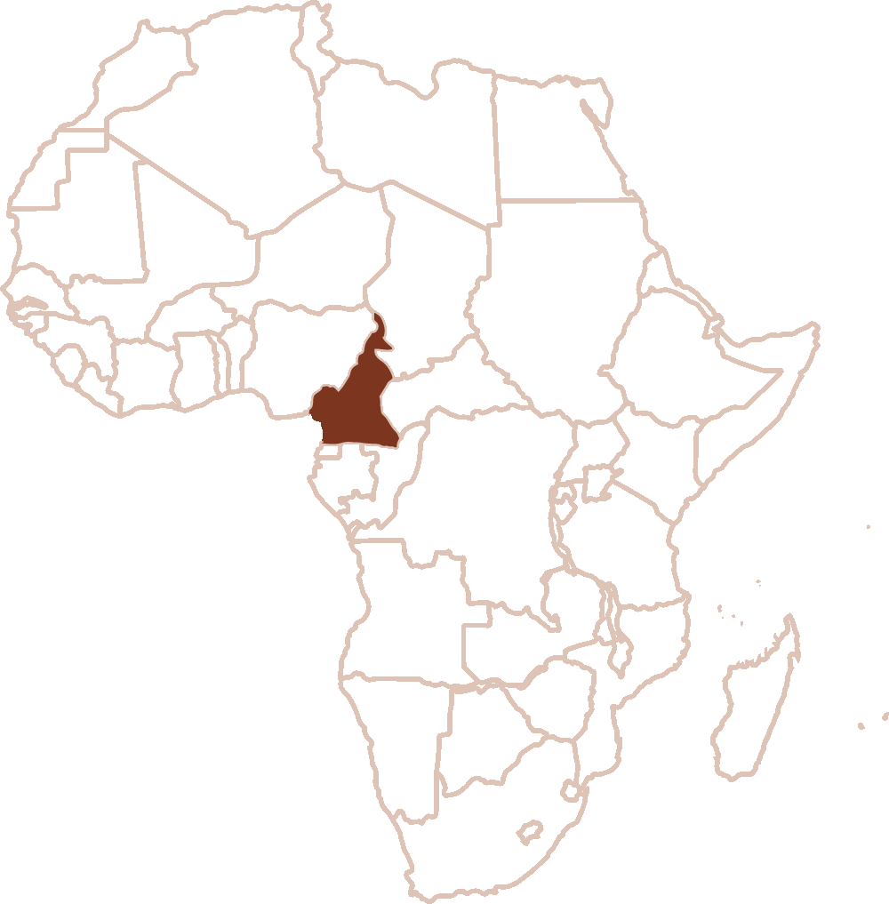 Karte von Afrika, Kamerun markiert
